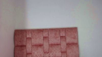 AilyShopia Live Image