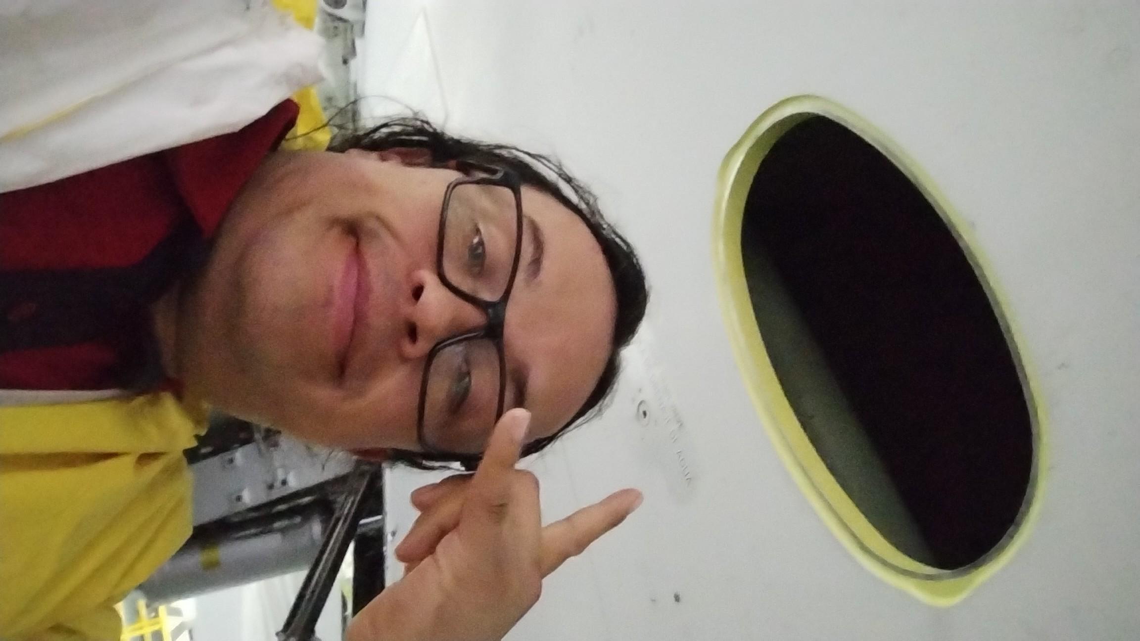 Airsarco787 Live Image