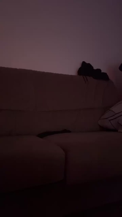 AlanBabi Live Image