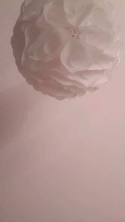Allobroge63 Live Image