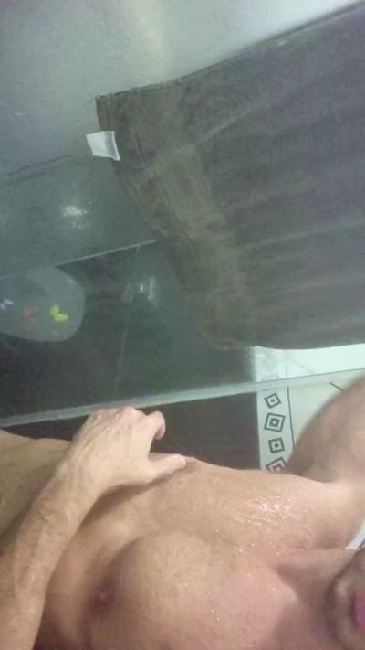 Aquilles00 Live Image