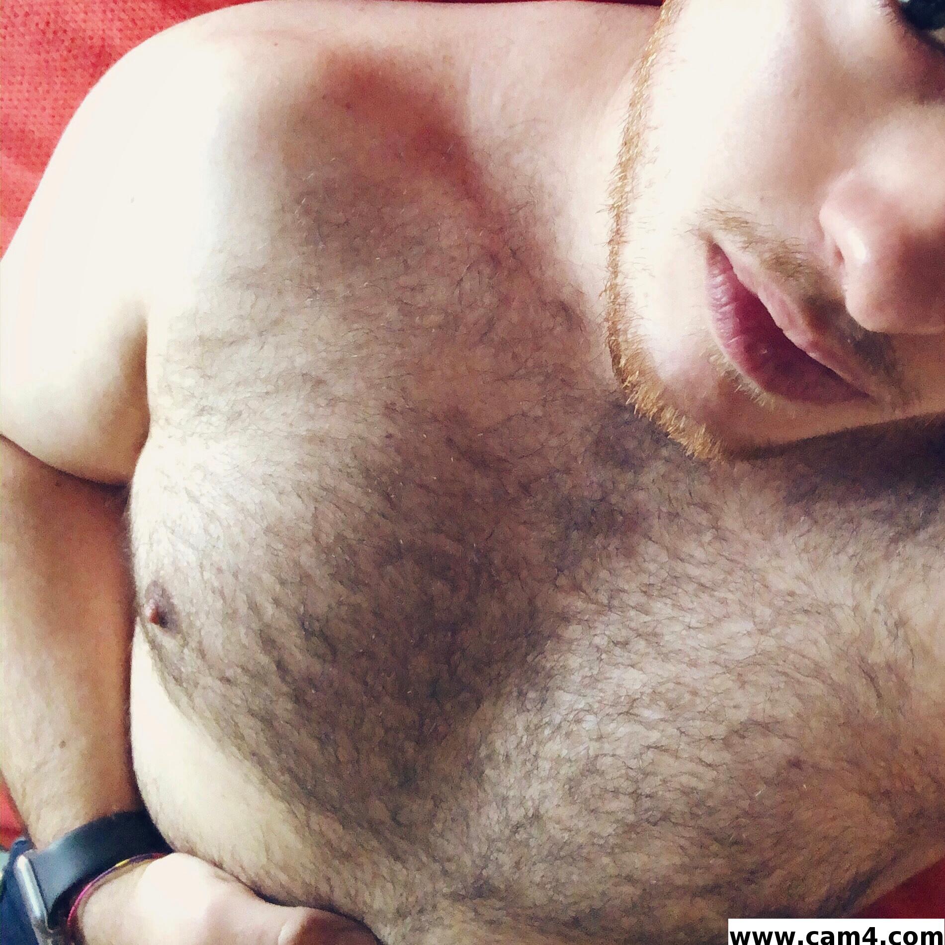 Auburn_beard Live Image