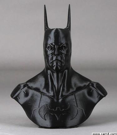 Batcam7430 Live Image