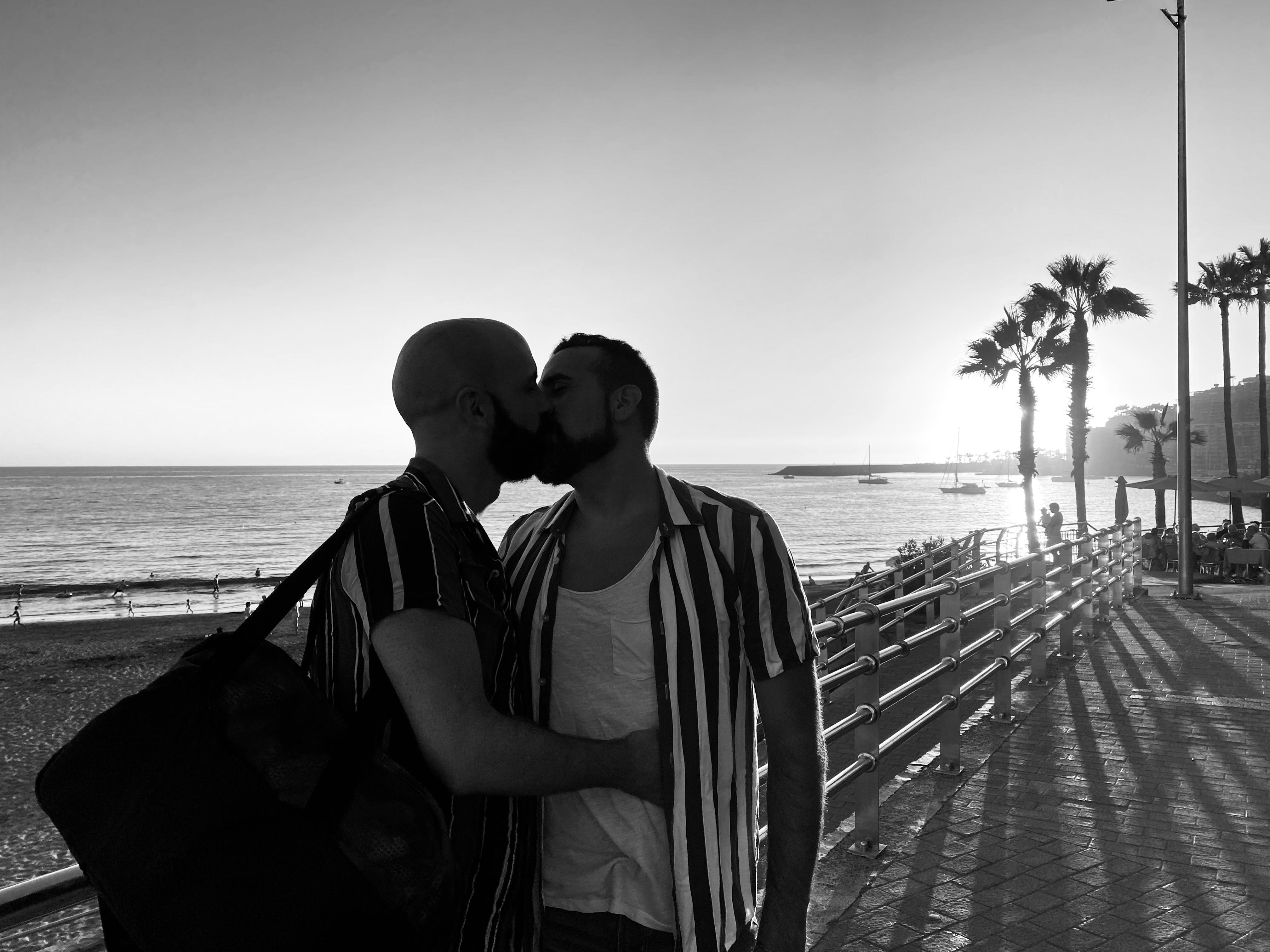 BeardGayCouple Live Image