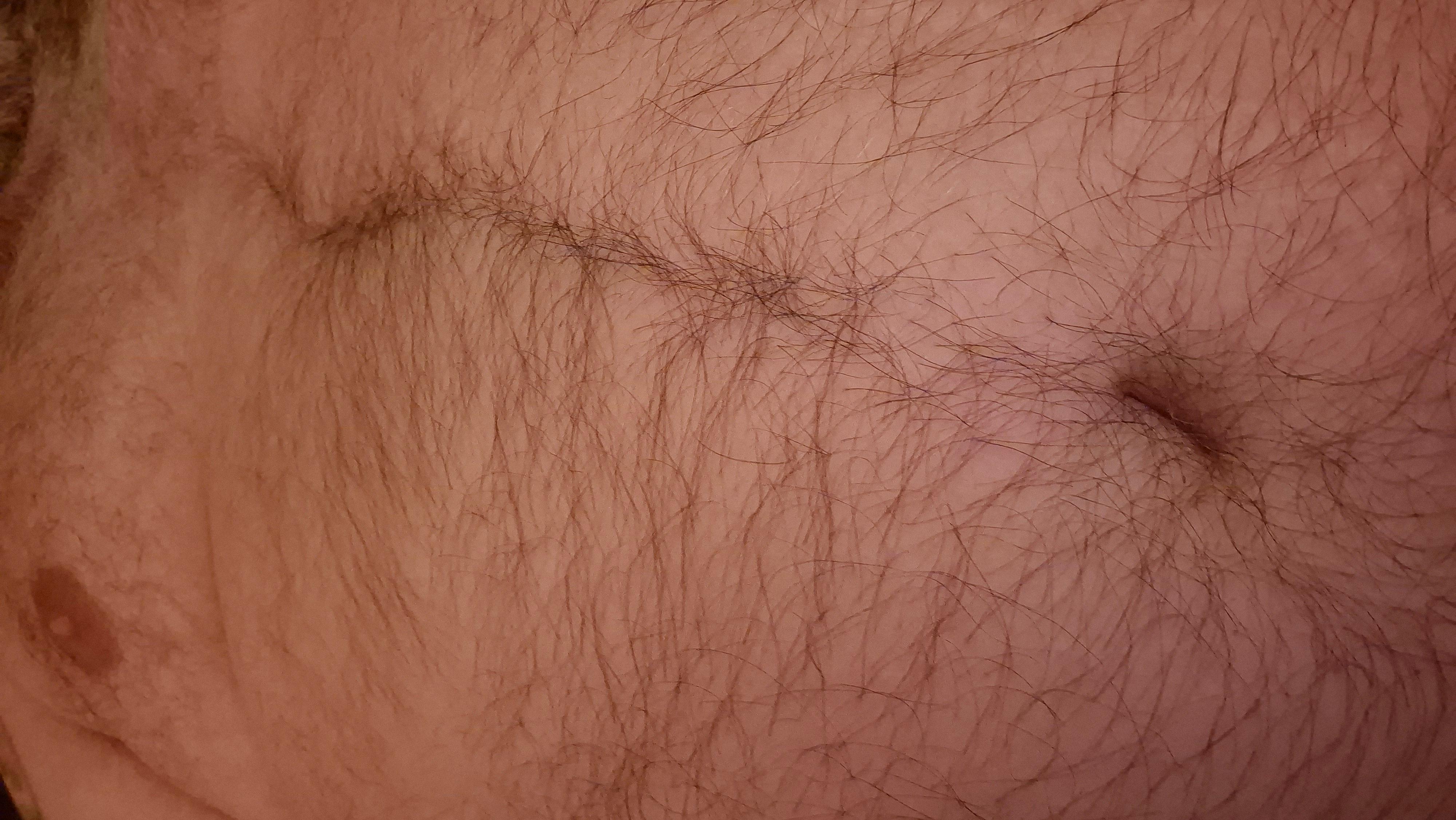 Boublebear Live Image
