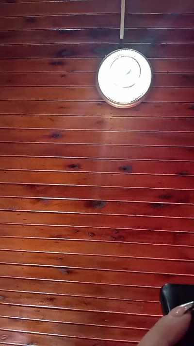 Flavia234 Live Image