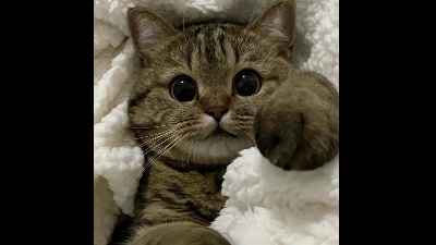 HUNNY_TT Live Image