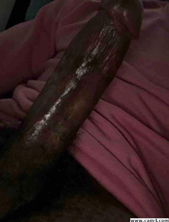 Longstory11 Live Image