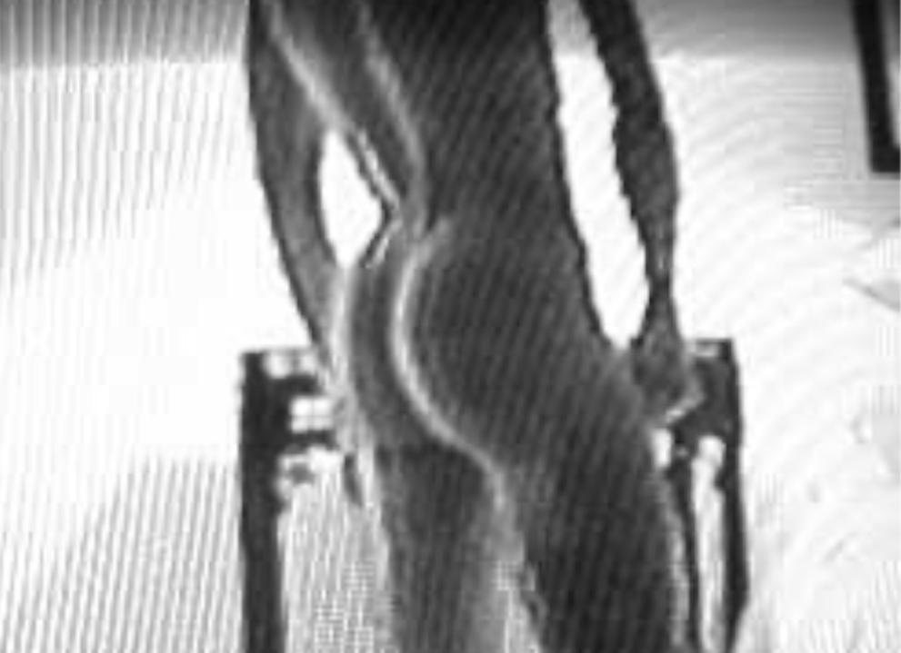 RodneyRoux Live Image