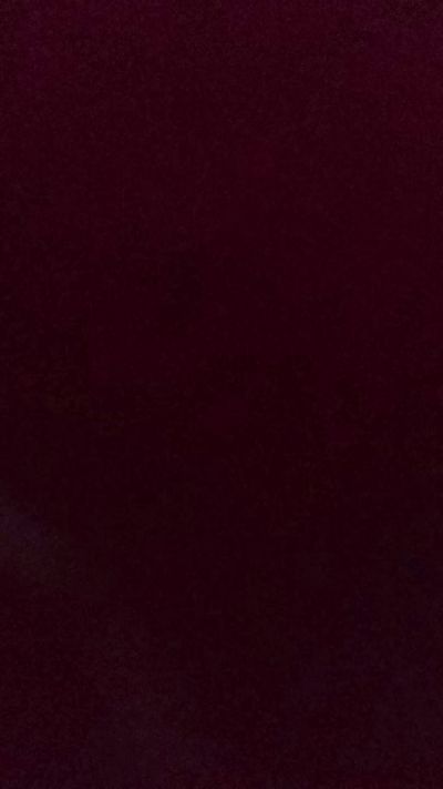Silkworm_Piper Live Image