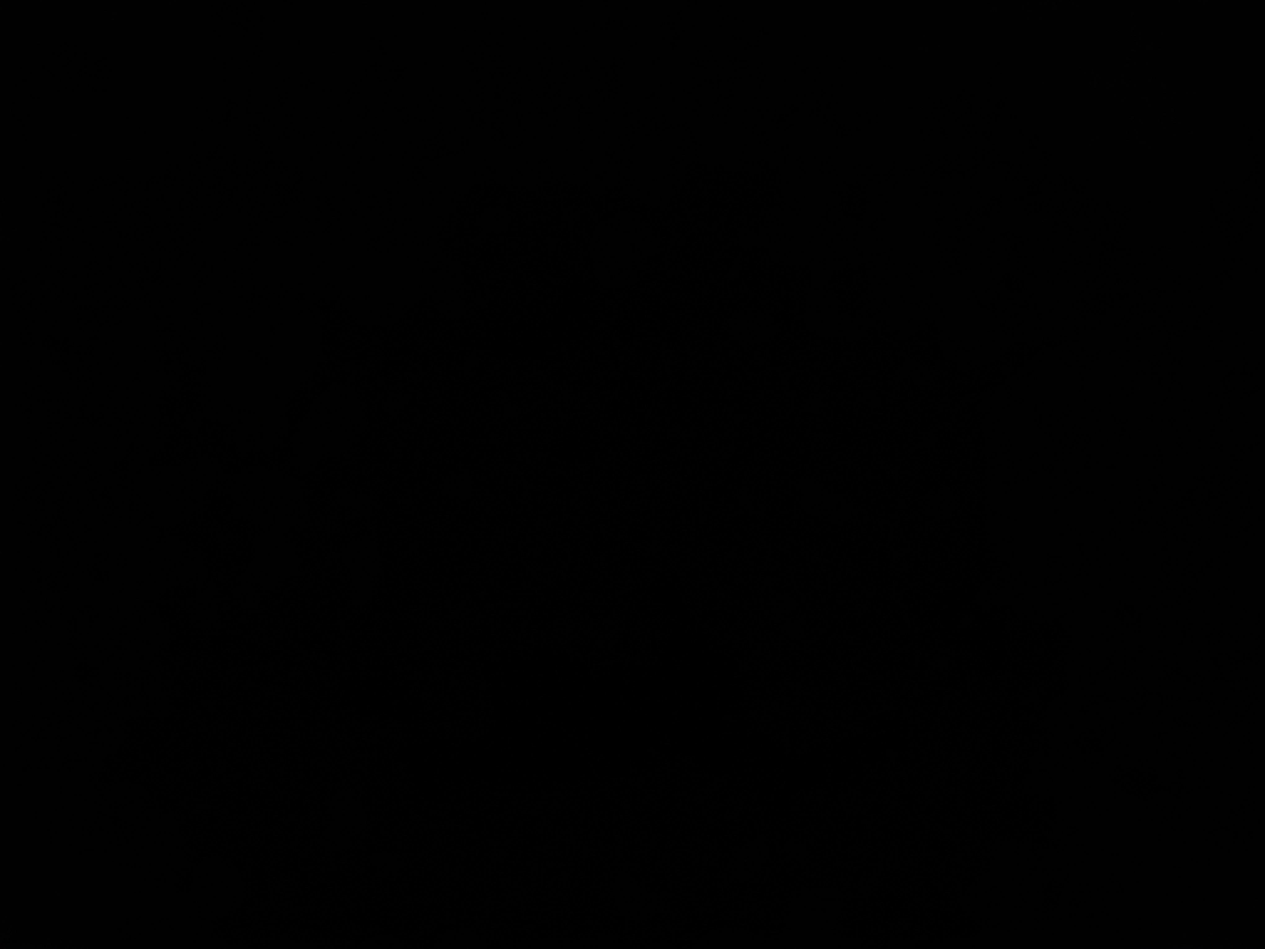Wildandfreeee27 Live Image
