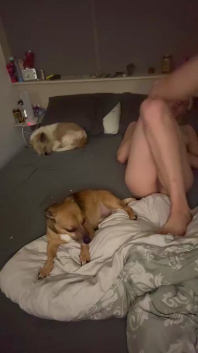 Willemvk7 Live Image