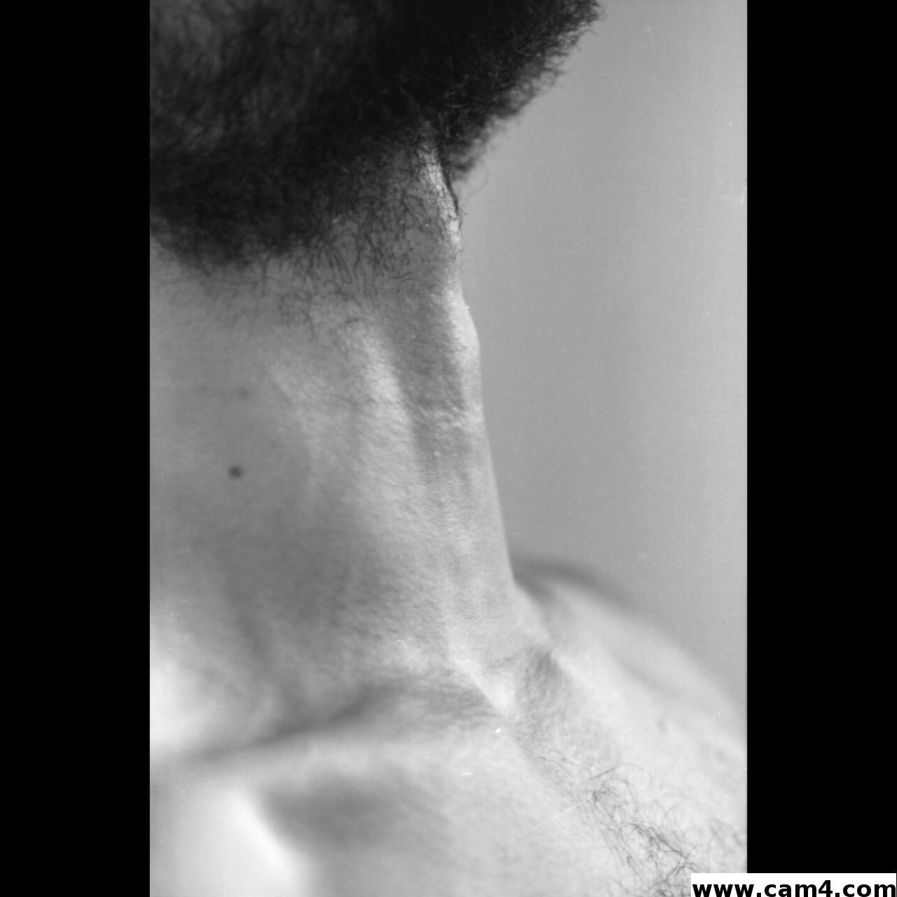 beefcakescl Live Image