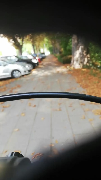 bernadetadwt Live Image