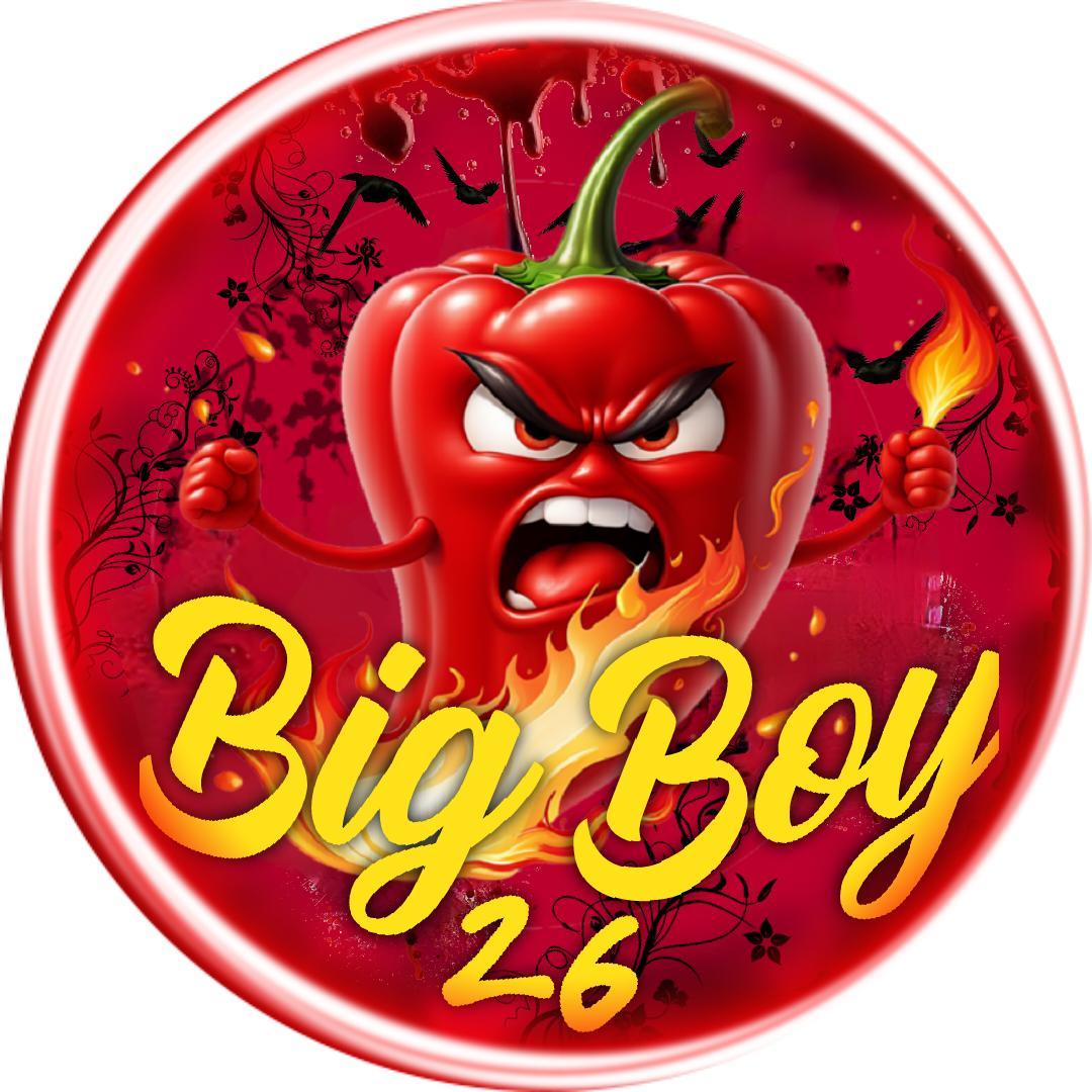 bigboycock26