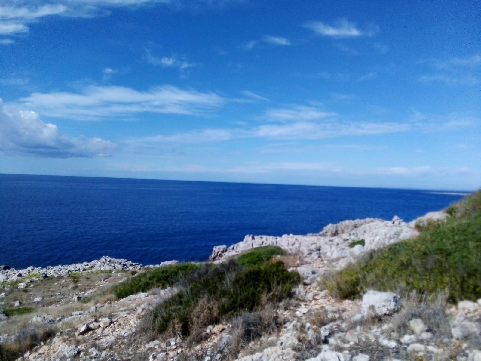 briga571 Live Image