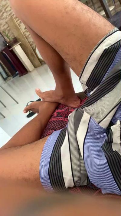 cavalao26