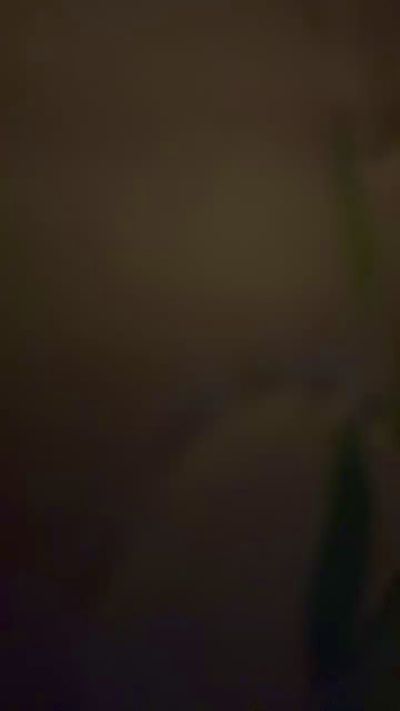 dredisland Live Image