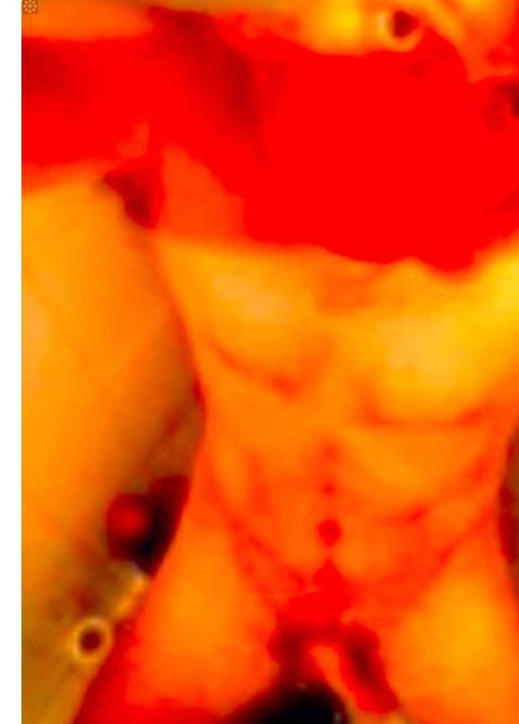 flotbi35 Live Image