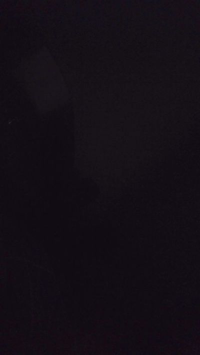 fuckbear Live Image