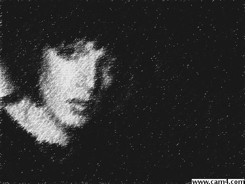 gina62 Live Image