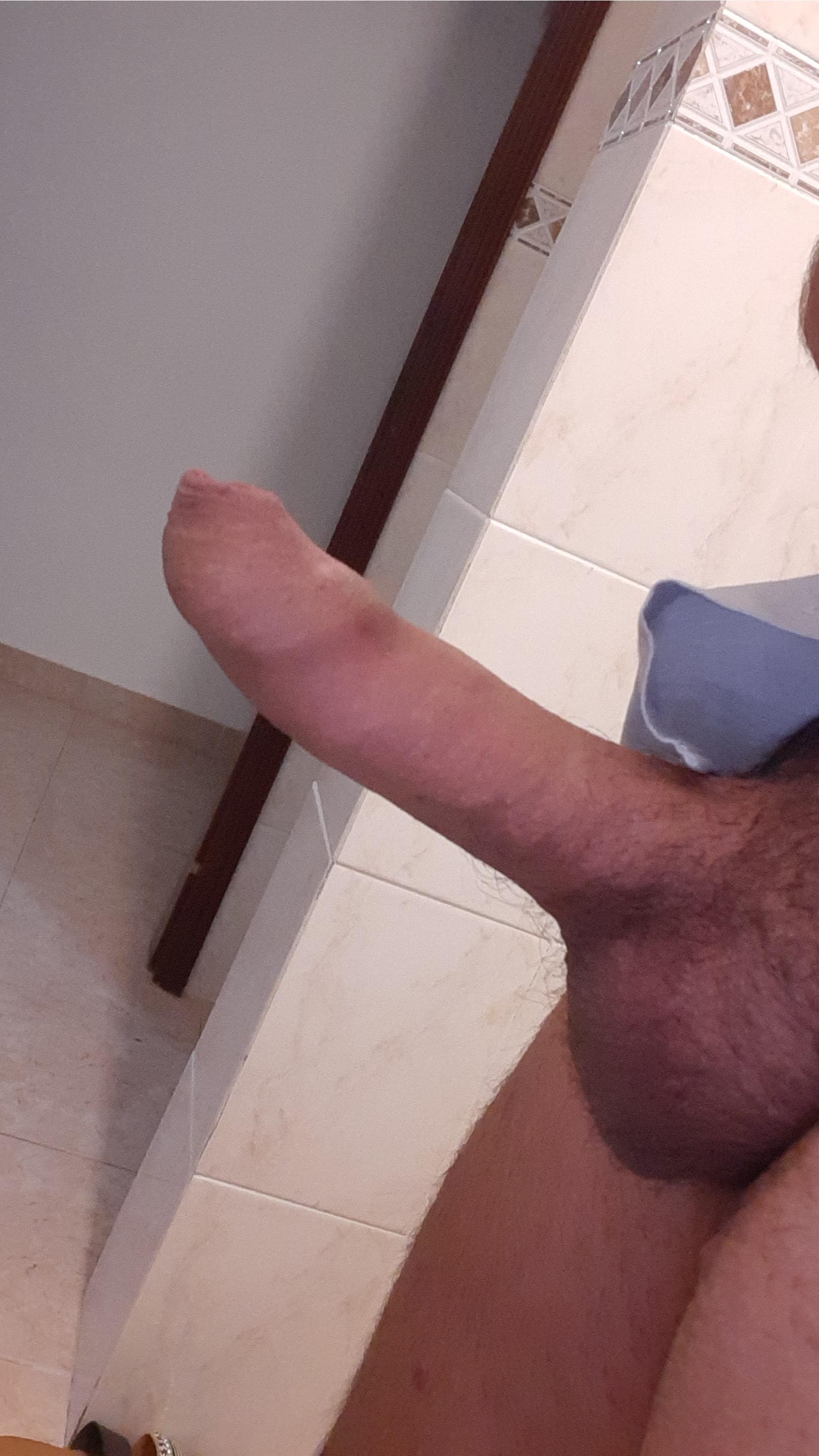 ocellarisxxx Live Image