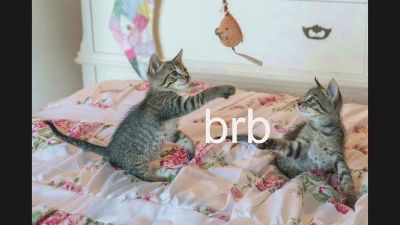 pink_girl0n Live Image