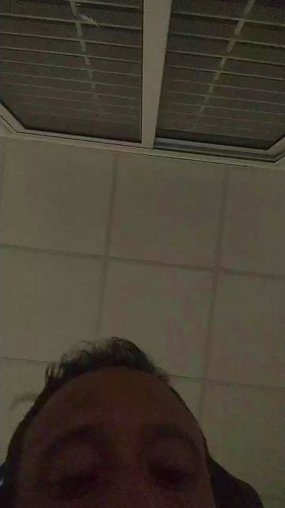 poli191 Live Image