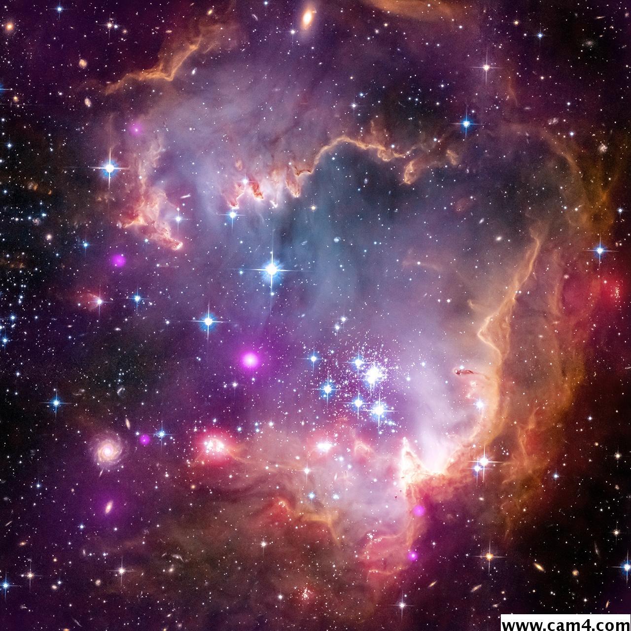puov1 Live Image