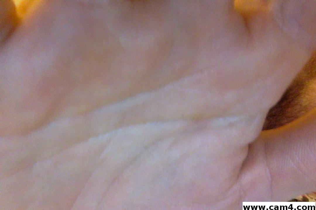 seb031 Live Image