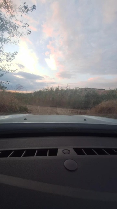 Agataperra35 live from Spain
