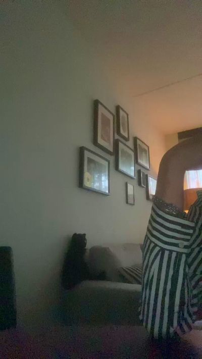 DutchTatBoy live from Netherlands