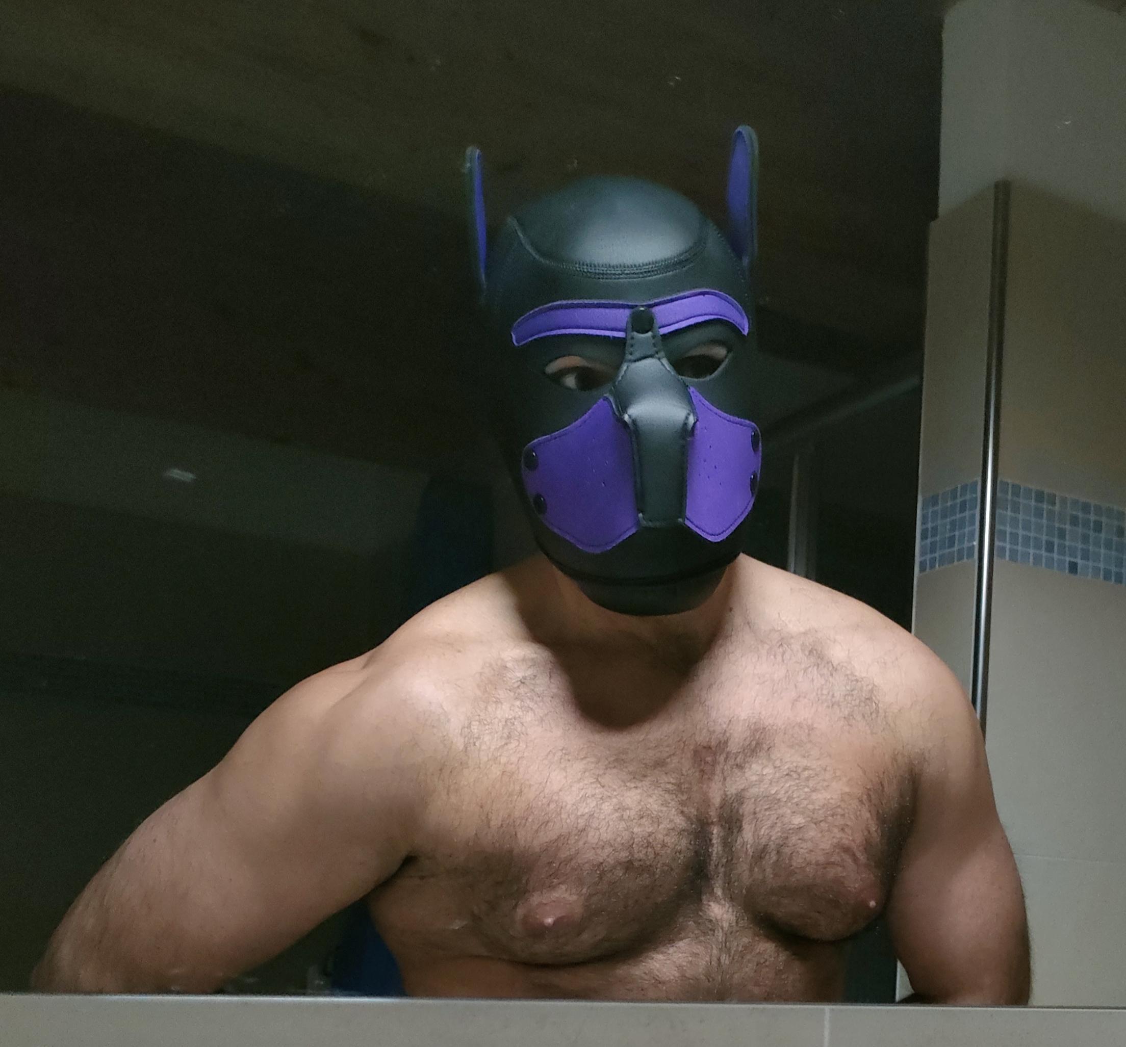 Hairypuppy82 live from Italy