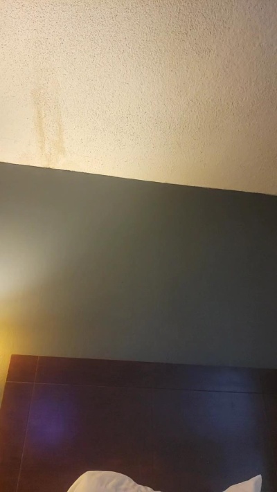 Jenabee live from United States