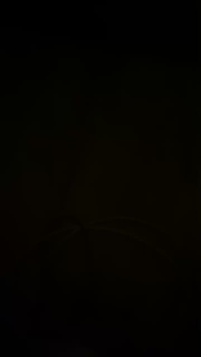 Jhonbull69k live from Italy