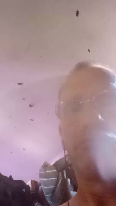 MrLickmypu live from United States