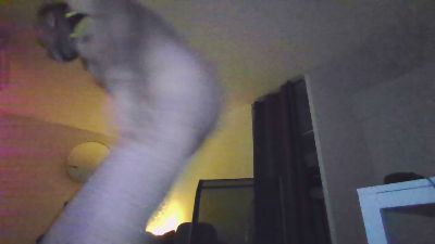 NinoKincampoix live from France