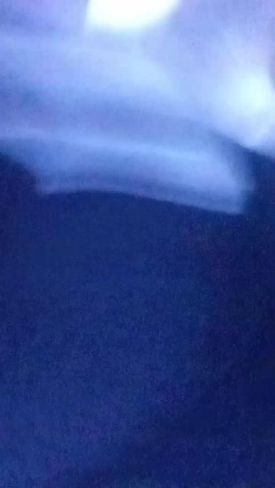 Zeigalles23 live from Germany