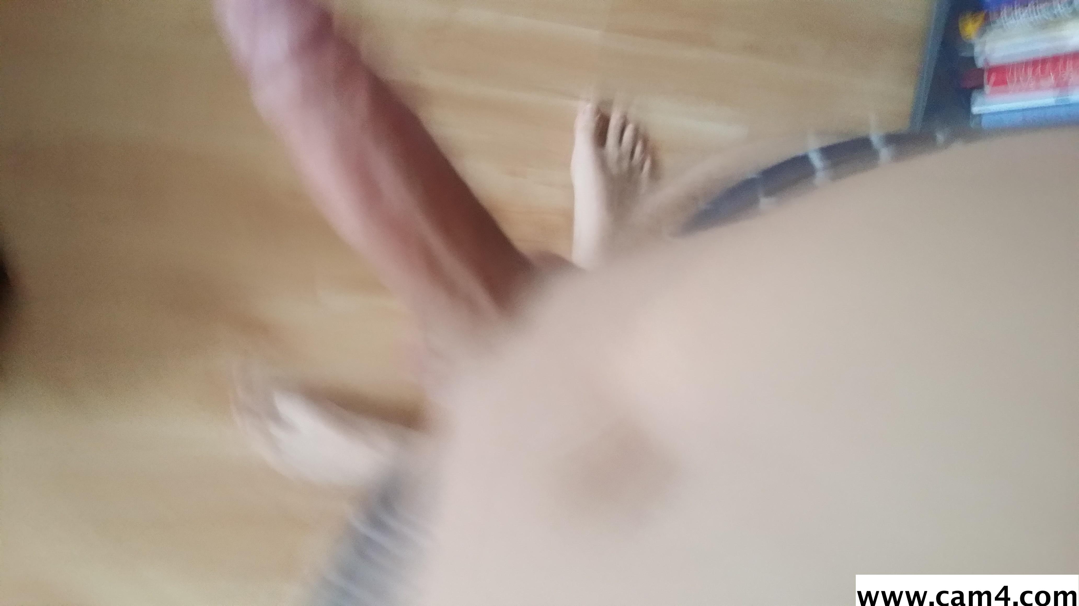 doggiholger live from Germany