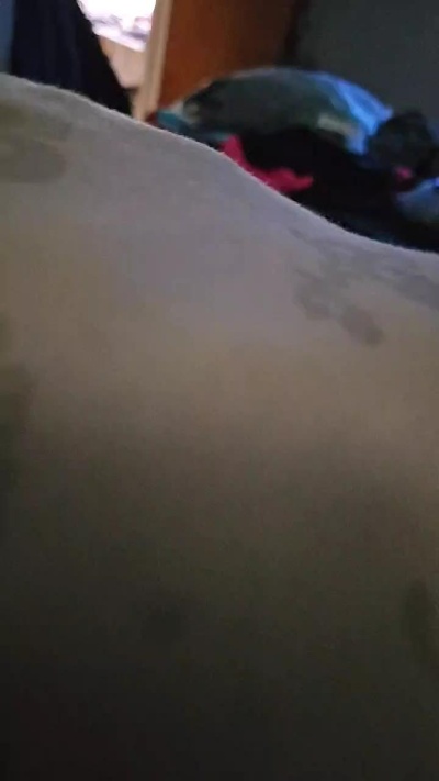 erlittlee live from United States