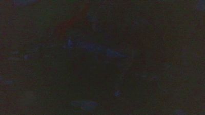 nastyatnite live from United States