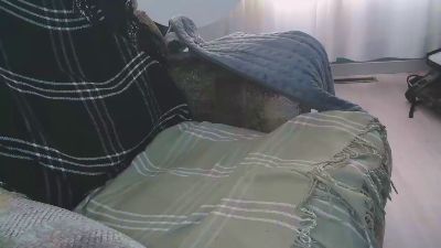 tunabik live from Canada